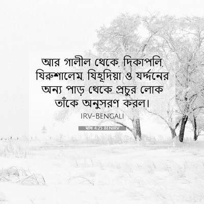 Picture 07 - মথি 4:25 BENIRV - আর গালীল থেকে, - Bible Verse Picture