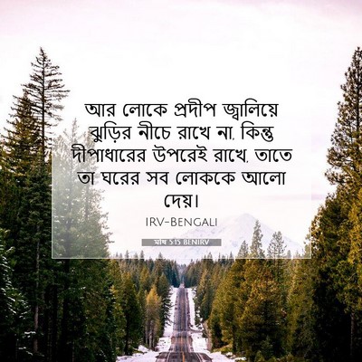 Picture 07 - মথি 5:15 BENIRV - আর লোকে প্রদীপ - Bible Verse Picture