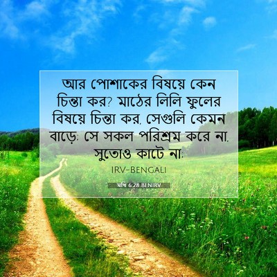 Picture 07 - মথি 6:28 BENIRV - আর পোশাকের বিষয়ে - Bible Verse Picture