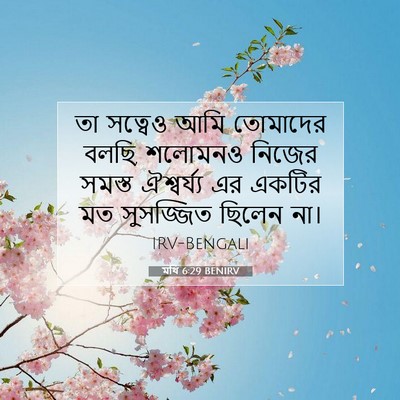 Picture 07 - মথি 6:29 BENIRV - তা সত্বেও আমি - Bible Verse Picture