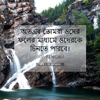 Picture 07 - মথি 7:20 BENIRV - অতএব তোমরা ওদের - Bible Verse Picture