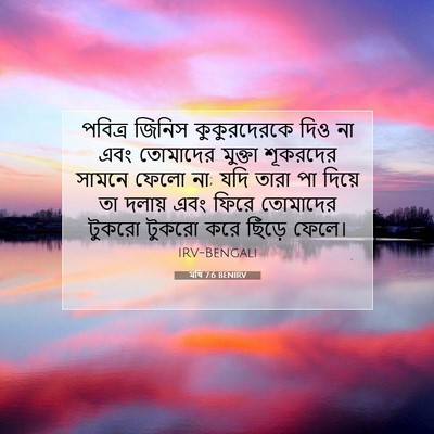 Picture 07 - মথি 7:6 BENIRV - পবিত্র জিনিস - Bible Verse Picture