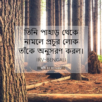 Picture 07 - মথি 8:1 BENIRV - তিনি পাহাড় থেকে - Bible Verse Picture