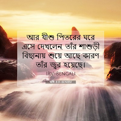 Picture 07 - মথি 8:14 BENIRV - আর যীশু পিতরের ঘরে - Bible Verse Picture