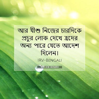 Picture 07 - মথি 8:18 BENIRV - আর যীশু নিজের - Bible Verse Picture