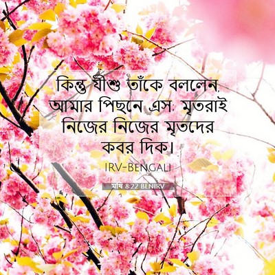 Picture 07 - মথি 8:22 BENIRV - কিন্তু যীশু তাঁকে - Bible Verse Picture