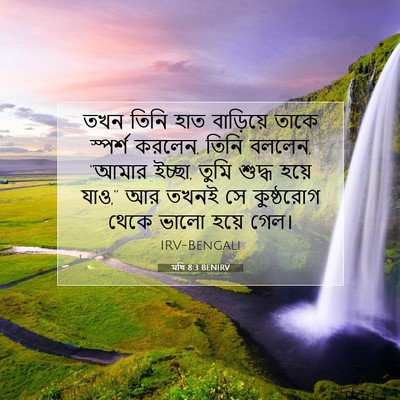 Picture 07 - মথি 8:3 BENIRV - তখন তিনি হাত - Bible Verse Picture