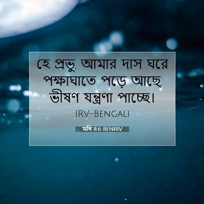 Picture 07 - মথি 8:6 BENIRV - হে প্রভু, আমার দাস - Bible Verse Picture