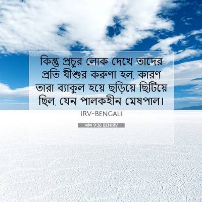 Picture 07 - মথি 9:36 BENIRV - কিন্তু প্রচুর লোক - Bible Verse Picture