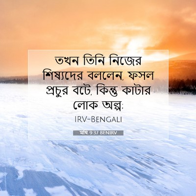 Picture 07 - মথি 9:37 BENIRV - তখন তিনি নিজের - Bible Verse Picture