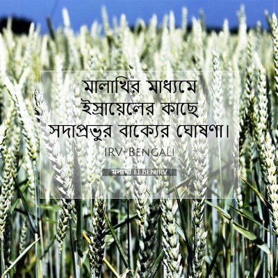 Picture 07 - মলাখী 1:1 BENIRV - মালাখির মাধ্যমে - Bible Verse Picture