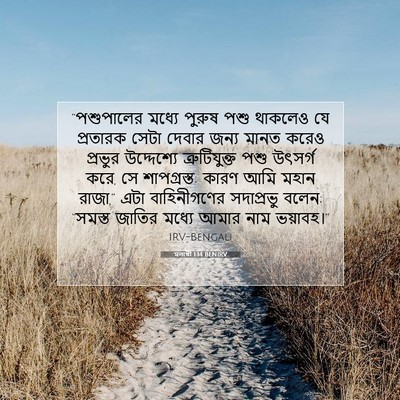 Picture 07 - মলাখী 1:14 BENIRV - “পশুপালের মধ্যে - Bible Verse Picture