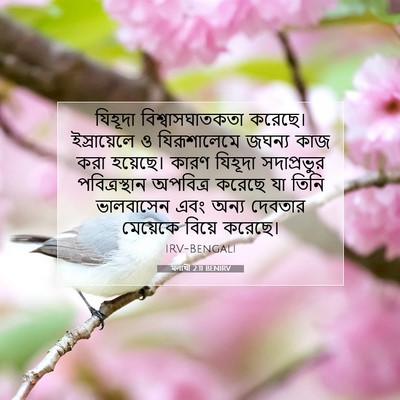 Picture 07 - মলাখী 2:11 BENIRV - যিহূদা - Bible Verse Picture