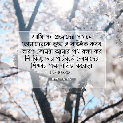 Picture 07 - মলাখী 2:9 BENIRV - আমি সব প্রজাদের - Bible Verse Picture