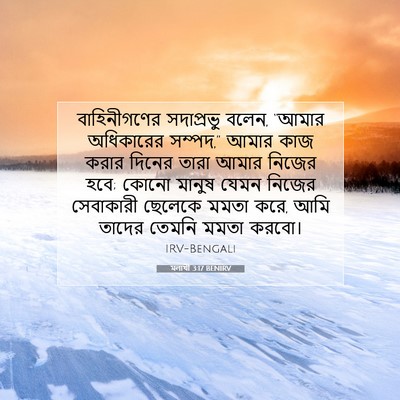 Picture 07 - মলাখী 3:17 BENIRV - বাহিনীগণের - Bible Verse Picture