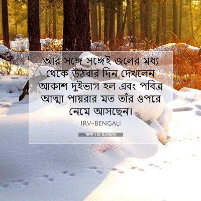 Picture 07 - মার্ক 1:10 BENIRV - আর সঙ্গে সঙ্গেই - Bible Verse Picture