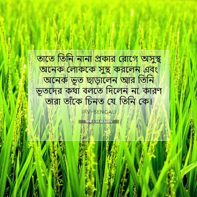 Picture 07 - মার্ক 1:34 BENIRV - তাতে তিনি নানা - Bible Verse Picture