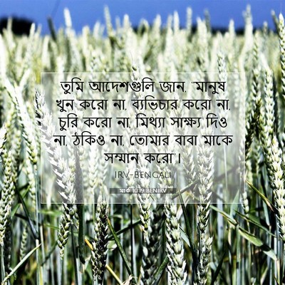 Picture 07 - মার্ক 10:19 BENIRV - তুমি আদেশগুলি জান, - Bible Verse Picture