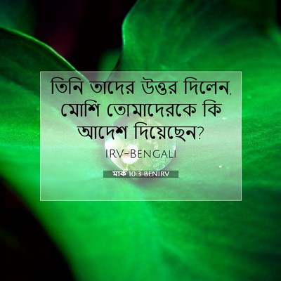 Picture 07 - মার্ক 10:3 BENIRV - তিনি তাদের উত্তর - Bible Verse Picture