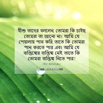 Picture 07 - মার্ক 10:38 BENIRV - যীশু তাদের বললেন, - Bible Verse Picture