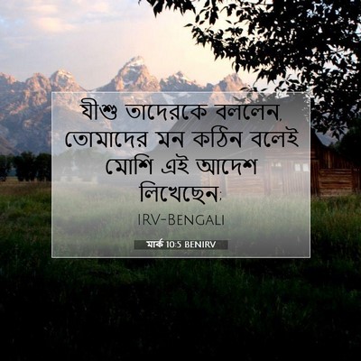 Picture 07 - মার্ক 10:5 BENIRV - যীশু তাদেরকে - Bible Verse Picture