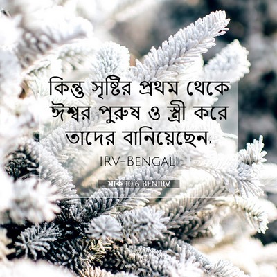 Picture 07 - মার্ক 10:6 BENIRV - কিন্তু সৃষ্টির - Bible Verse Picture