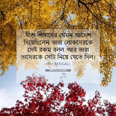Picture 07 - মার্ক 11:6 BENIRV - যীশু শিষ্যদের - Bible Verse Picture