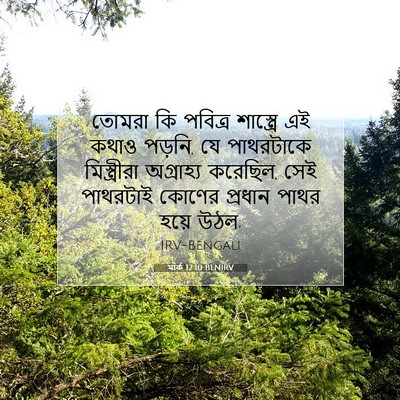 Picture 07 - মার্ক 12:10 BENIRV - তোমরা কি পবিত্র - Bible Verse Picture