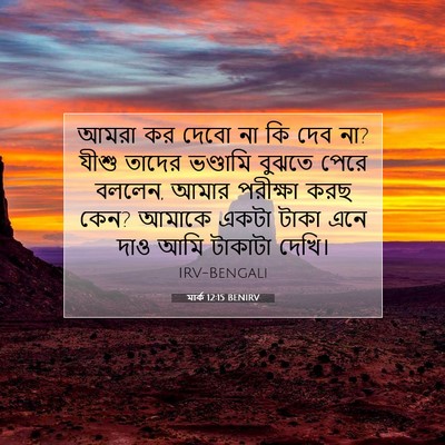 Picture 07 - মার্ক 12:15 BENIRV - আমরা কর দেবো না কি - Bible Verse Picture