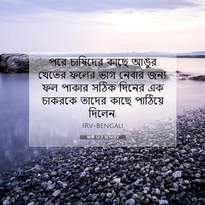 Picture 07 - মার্ক 12:2 BENIRV - পরে চাষিদের কাছে - Bible Verse Picture