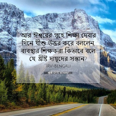 Picture 07 - মার্ক 12:35 BENIRV - আর ঈশ্বরের গৃহে - Bible Verse Picture