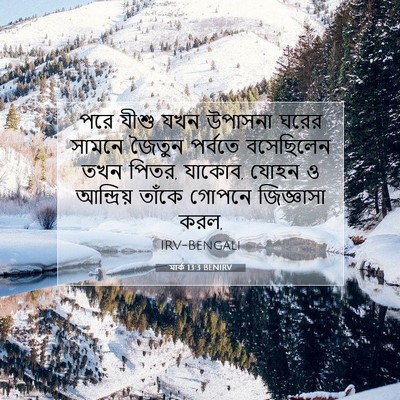Picture 07 - মার্ক 13:3 BENIRV - পরে যীশু যখন - Bible Verse Picture