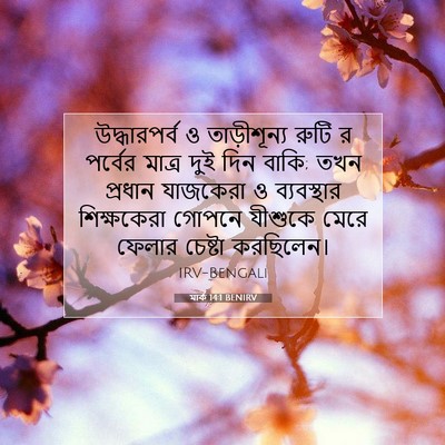 Picture 07 - মার্ক 14:1 BENIRV - উদ্ধারপর্ব ও - Bible Verse Picture