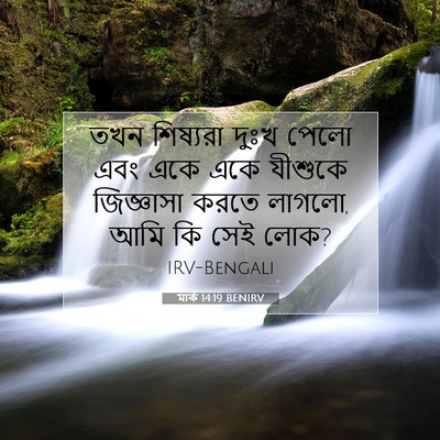 Picture 07 - মার্ক 14:19 BENIRV - তখন শিষ্যরা দুঃখ - Bible Verse Picture