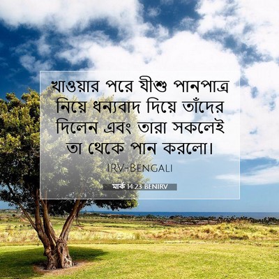 Picture 07 - মার্ক 14:23 BENIRV - খাওয়ার পরে যীশু - Bible Verse Picture