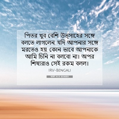 Picture 07 - মার্ক 14:31 BENIRV - পিতর খুব বেশি - Bible Verse Picture