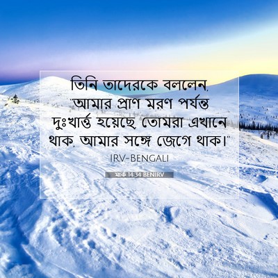 Picture 07 - মার্ক 14:34 BENIRV - তিনি তাদেরকে - Bible Verse Picture