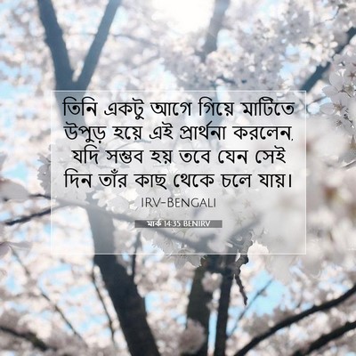 Picture 07 - মার্ক 14:35 BENIRV - তিনি একটু আগে - Bible Verse Picture