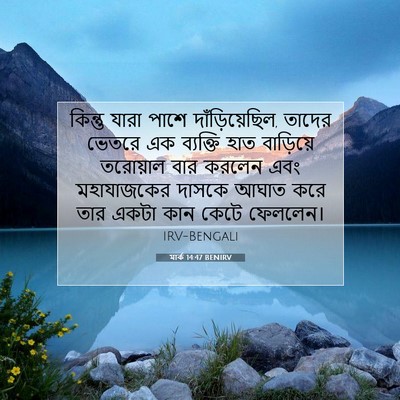 Picture 07 - মার্ক 14:47 BENIRV - কিন্তু যারা পাশে - Bible Verse Picture