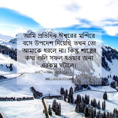Picture 07 - মার্ক 14:49 BENIRV - আমি প্রতিদিন - Bible Verse Picture