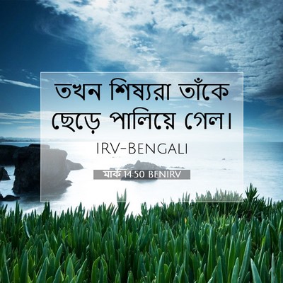 Picture 07 - মার্ক 14:50 BENIRV - তখন শিষ্যরা তাঁকে - Bible Verse Picture