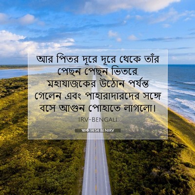 Picture 07 - মার্ক 14:54 BENIRV - আর পিতর দূরে দূরে - Bible Verse Picture