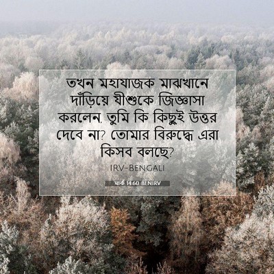Picture 07 - মার্ক 14:60 BENIRV - তখন মহাযাজক - Bible Verse Picture