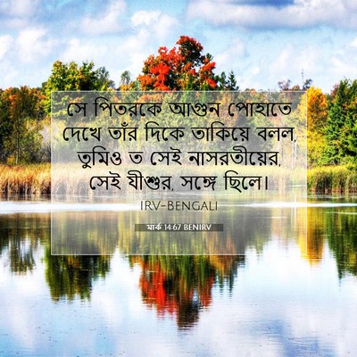Picture 07 - মার্ক 14:67 BENIRV - সে পিতরকে আগুন - Bible Verse Picture