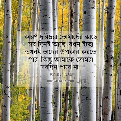 Picture 07 - মার্ক 14:7 BENIRV - কারণ দরিদ্ররা - Bible Verse Picture