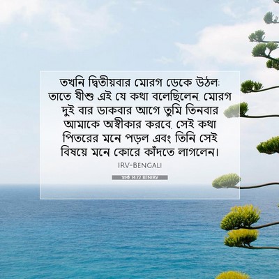 Picture 07 - মার্ক 14:72 BENIRV - তখনি দ্বিতীয়বার - Bible Verse Picture