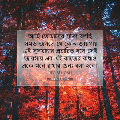 Picture 07 - মার্ক 14:9 BENIRV - আমি তোমাদের সত্যি - Bible Verse Picture