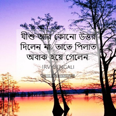 Picture 07 - মার্ক 15:5 BENIRV - যীশু আর কোনো উত্তর - Bible Verse Picture