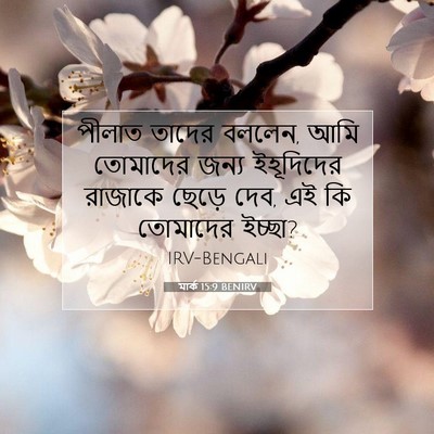 Picture 07 - মার্ক 15:9 BENIRV - পীলাত তাদের বললেন, - Bible Verse Picture