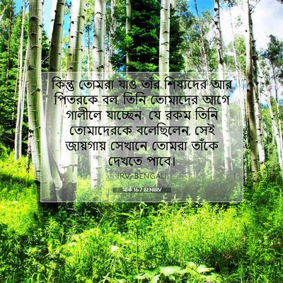 Picture 07 - মার্ক 16:7 BENIRV - কিন্তু তোমরা যাও - Bible Verse Picture